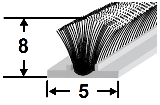 FIT5X8