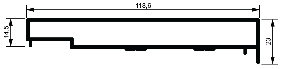NG100